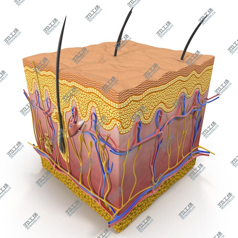 images/goods_img/202104093/Skin Section/3.jpg